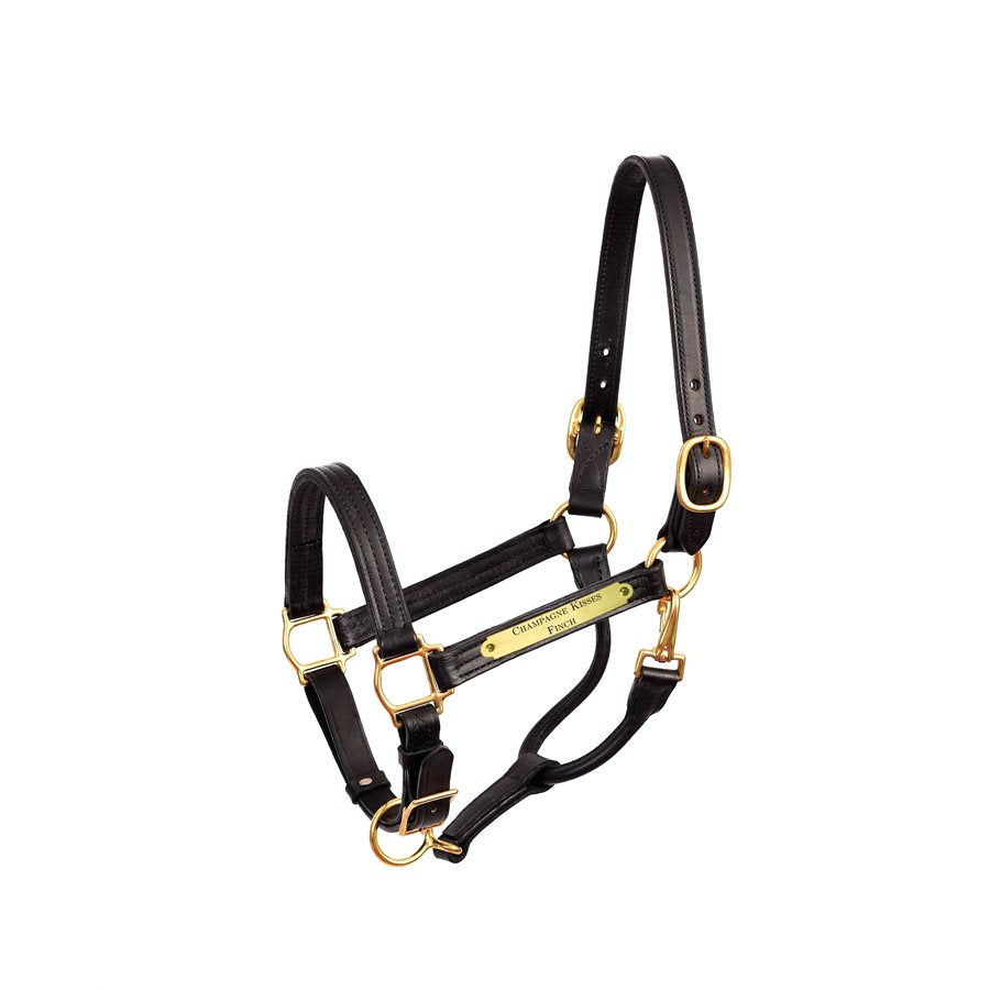 Perri's Premium 1" Leather Show Halter with Nameplate