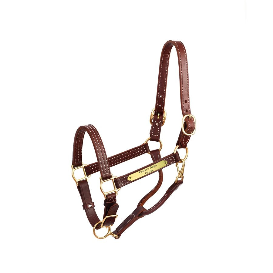 Perri's Premium 1" Leather Show Halter with Nameplate