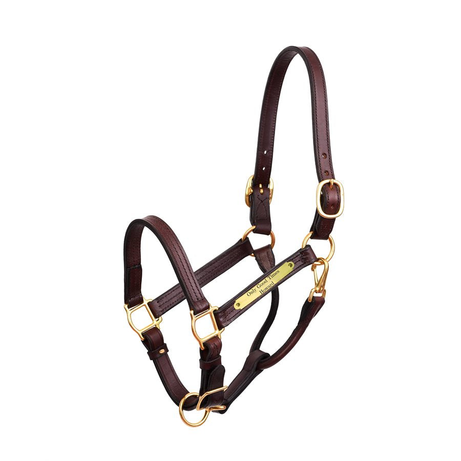 Perri's Premium 1" Leather Show Halter with Nameplate