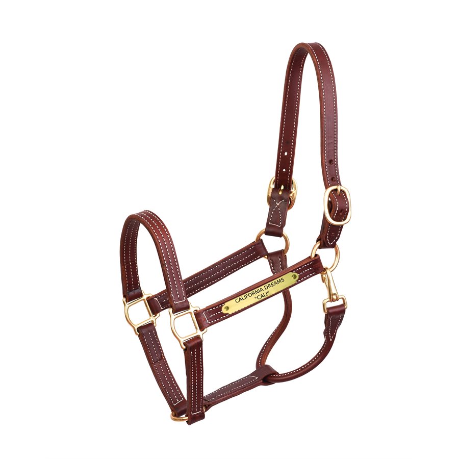 Perri's Professional Halter with Nameplate