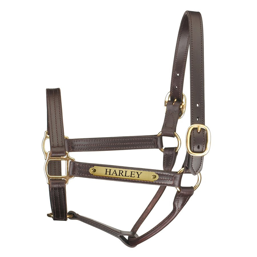 Perri's Premium Track Style Leather Show Halter with Nameplate