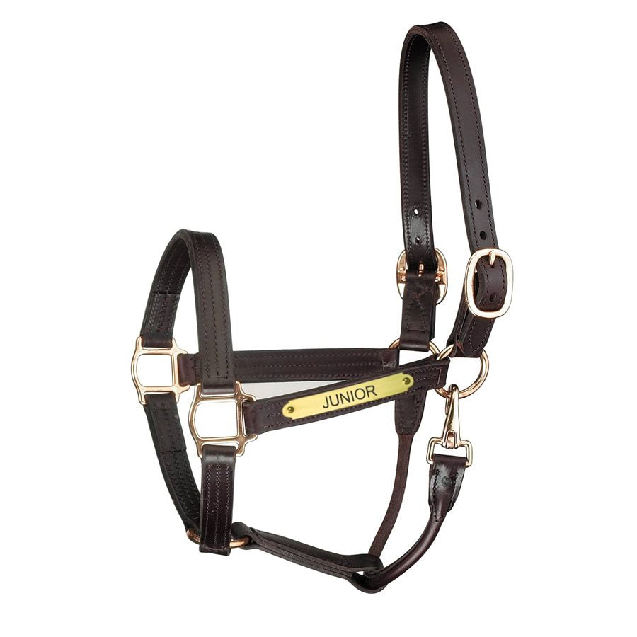 Perri's Premium Track Style Leather Show Halter with Snap & Nameplate