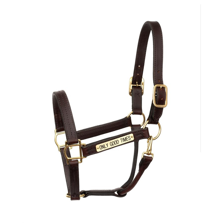 Perri's Heavy Duty Leather Halter with Nameplate