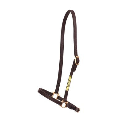 Perri's Grooming Halter with Nameplate