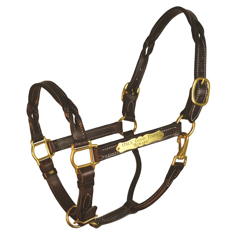 Perri's Twisted Leather Halter with Nameplate