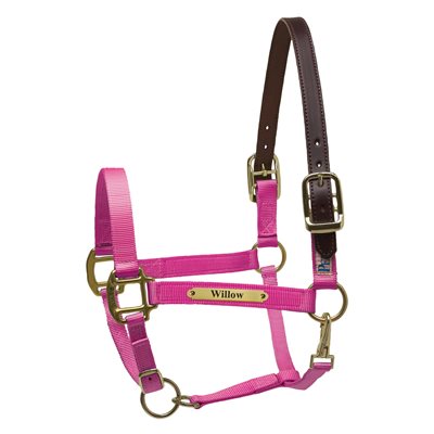Perri's Premium Nylon Safety Halter with Nameplate