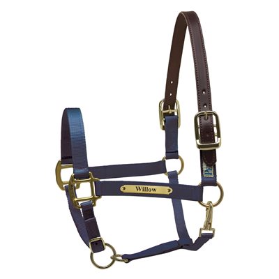 Perri's Premium Nylon Safety Halter with Nameplate