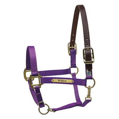 Perri's Premium Nylon Safety Halter with Nameplate
