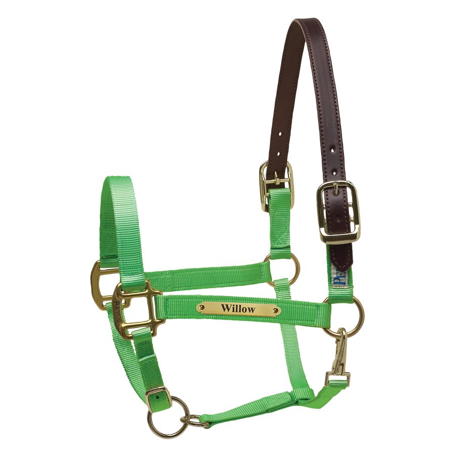 Perri's Premium Nylon Safety Halter with Nameplate