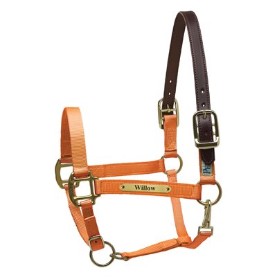 Perri's Premium Nylon Safety Halter with Nameplate