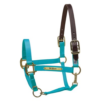 Perri's Premium Nylon Safety Halter with Nameplate