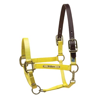 Perri's Premium Nylon Safety Halter with Nameplate