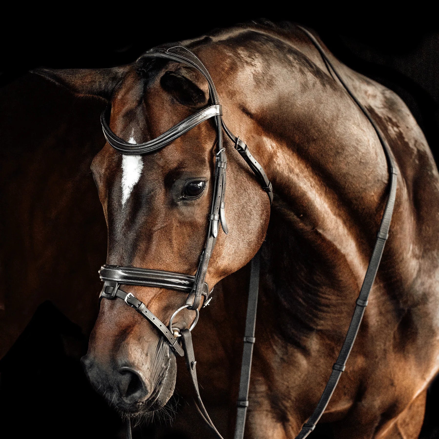 Lumiere Milan Leather Bridle