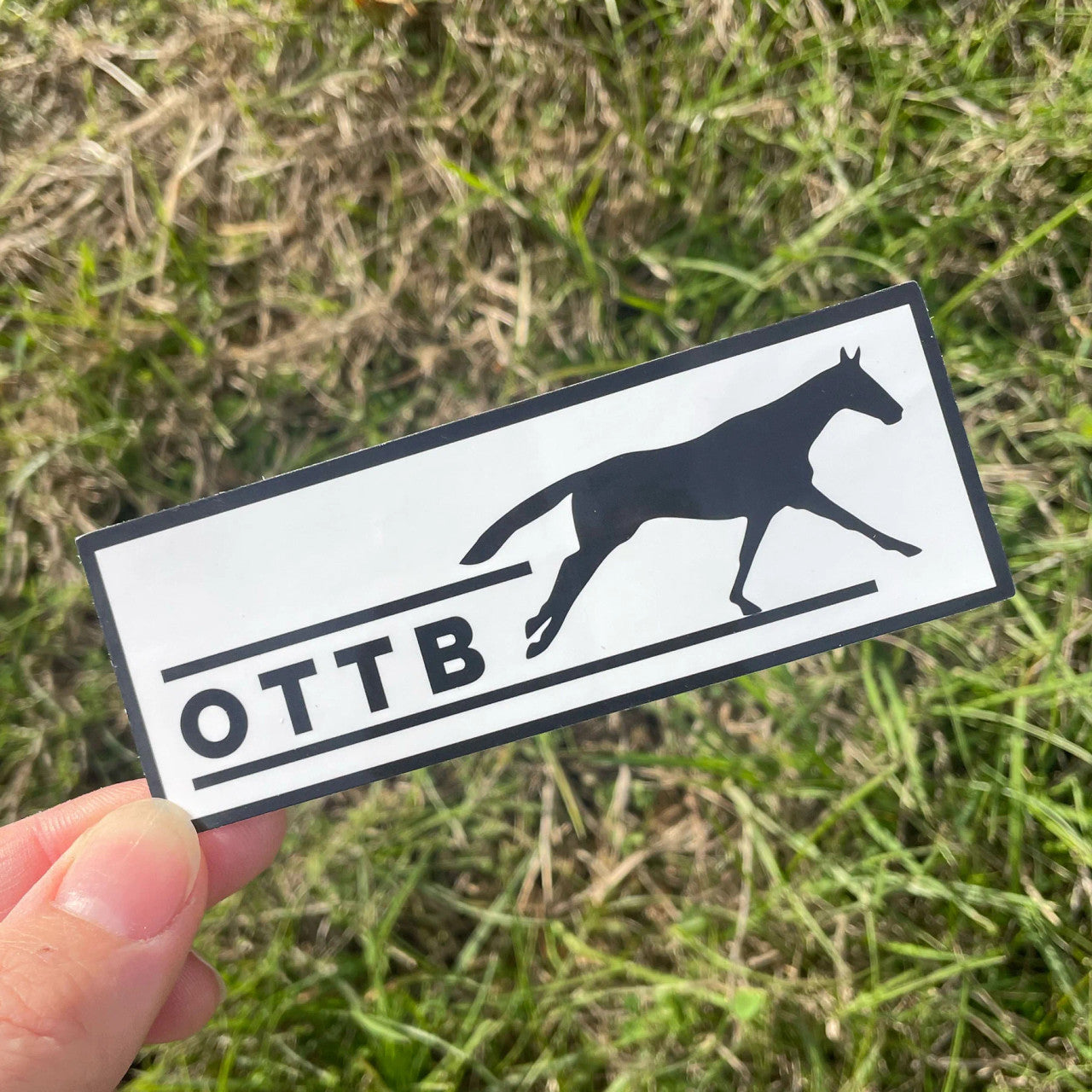 Dapplebay OTTB Sticker Pack - sku to order - 117879