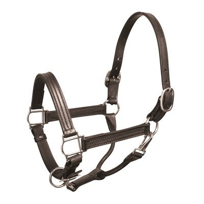 Perri's Premium Leather Show Halter - supporting