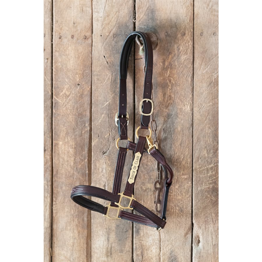 Perri's Fancy Stitched Leather Halter with Nameplate
