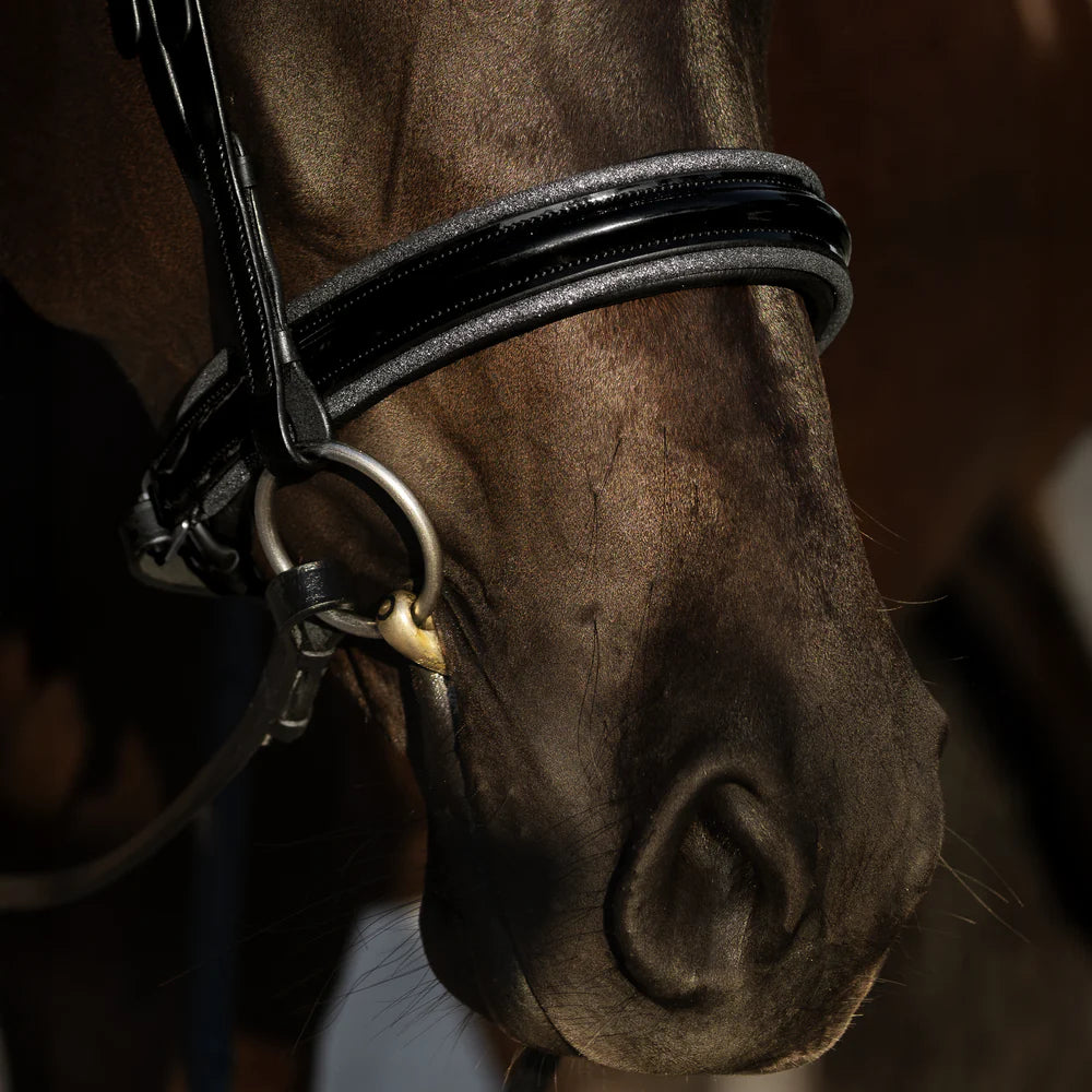 Lumiere Saphira Bridle