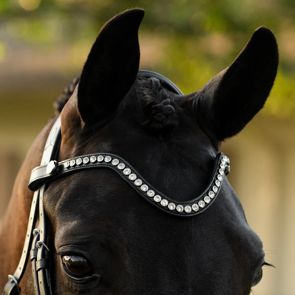 Lumiere Saphira Bridle