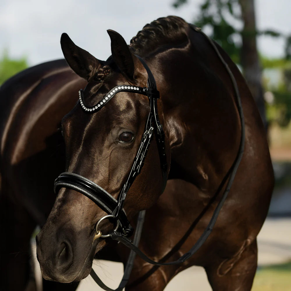 Lumiere Saphira Bridle