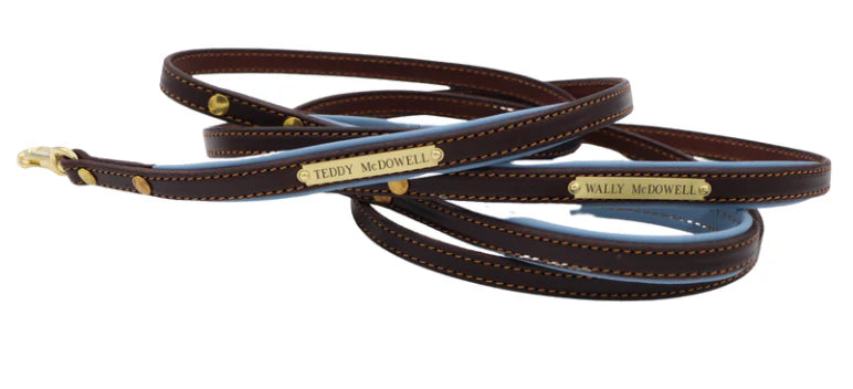 Custom Padded Dog Leash