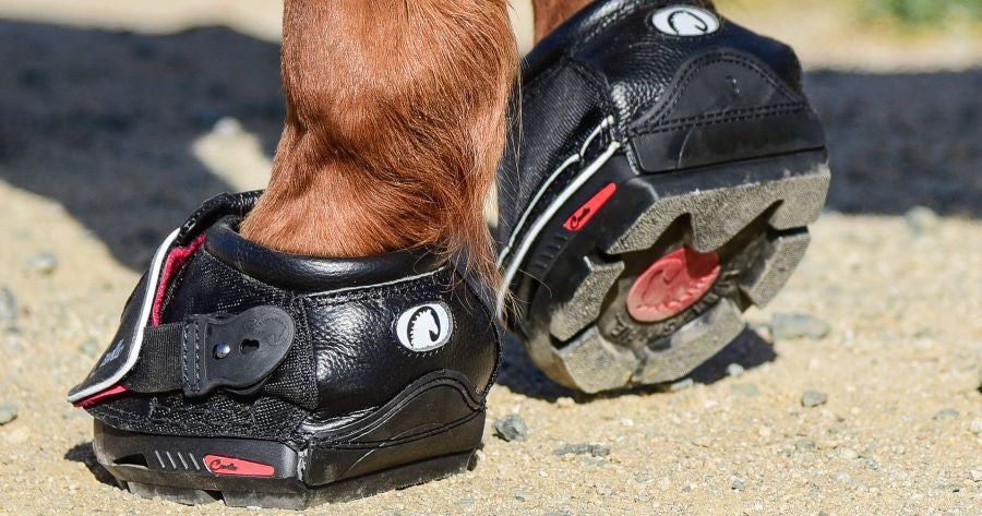 Cavallo Sport Hoof Boots - supporting