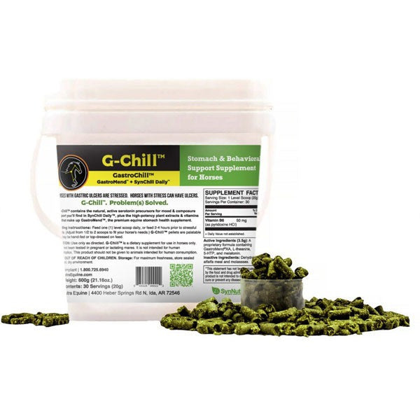 SynNutra G-Chill GastroChill Supplement - main