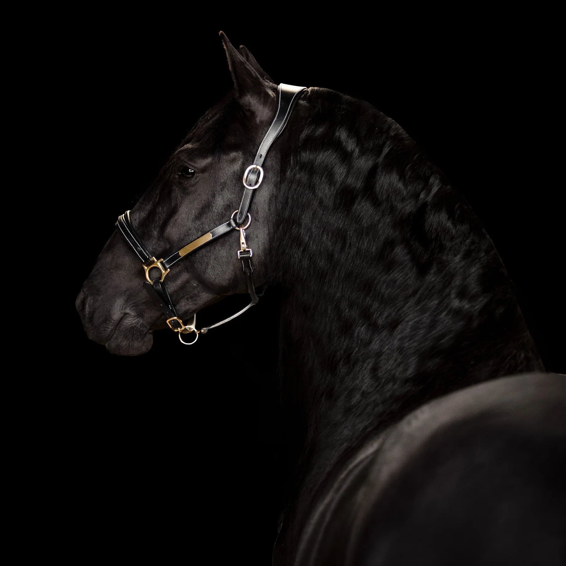 Lumiere Bella Leather Halter