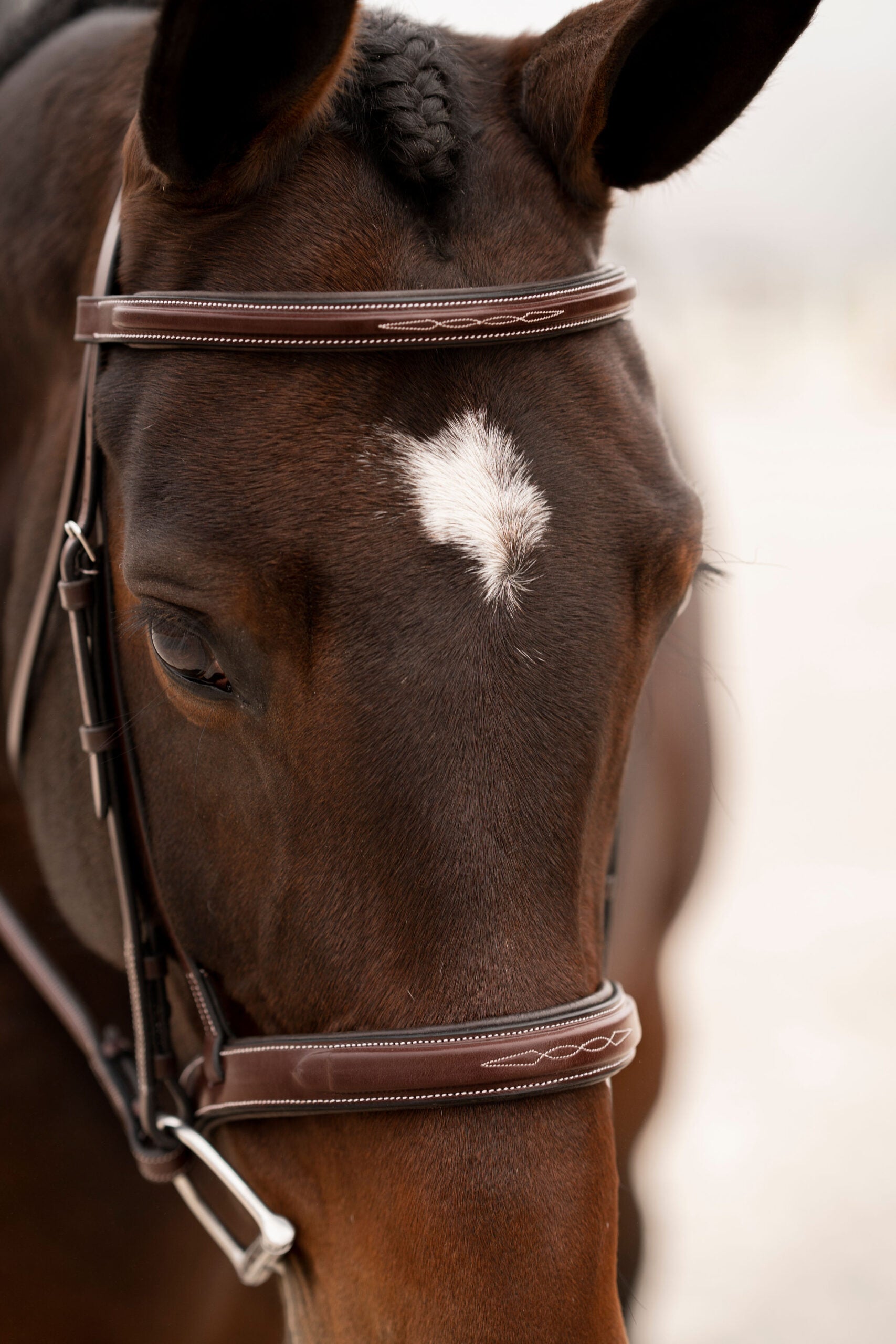 KL Select Red Barn Tryon Bridle