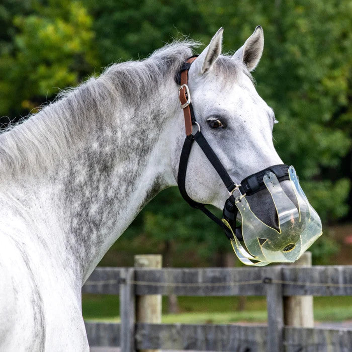 ThinLine Flexible Filly Slow Feed Grazing Muzzle - supporting