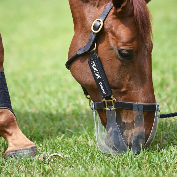 ThinLine Flexible Filly Slow Feed Grazing Muzzle - supporting