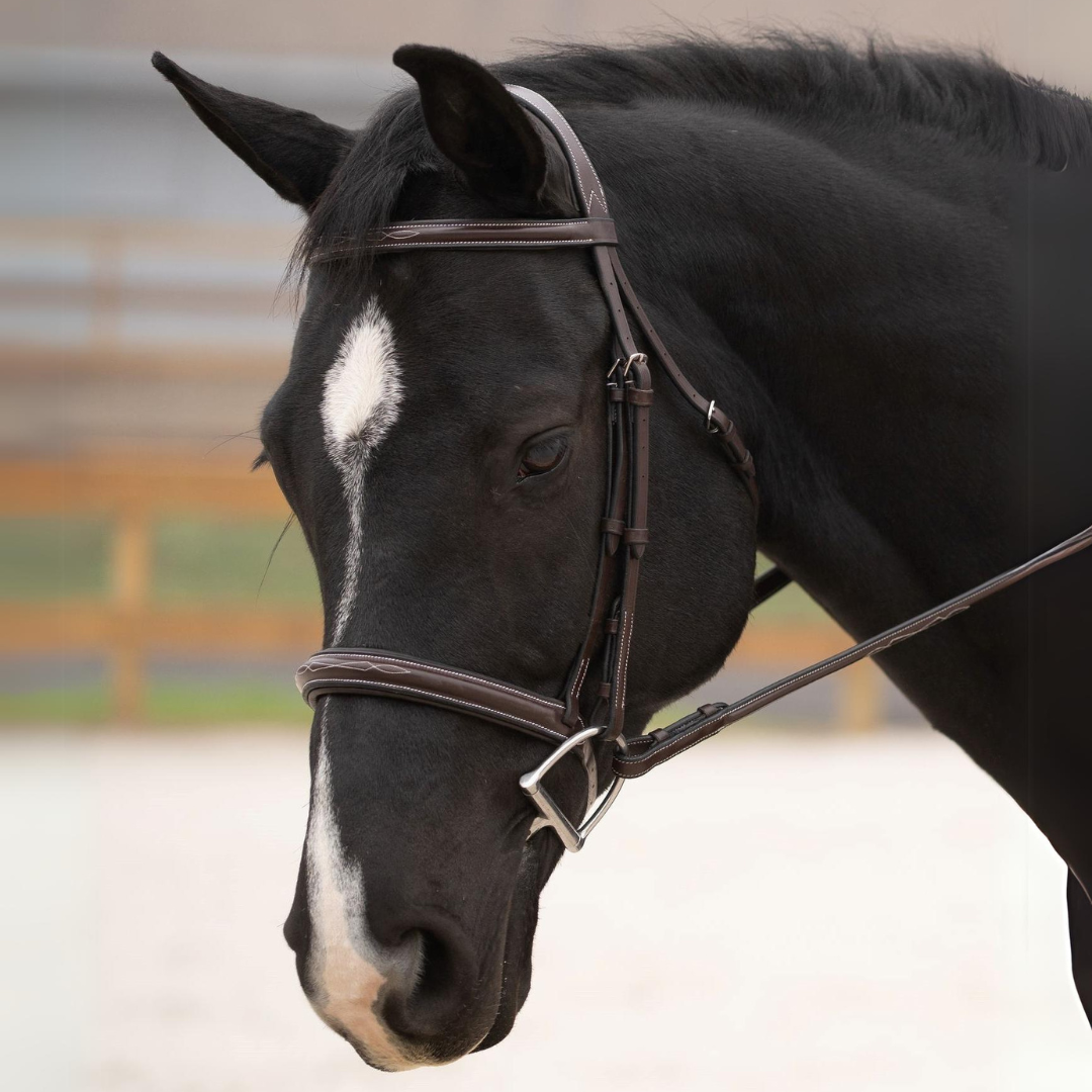 KL Select Black Oak Cyprus Hunter Bridle - main