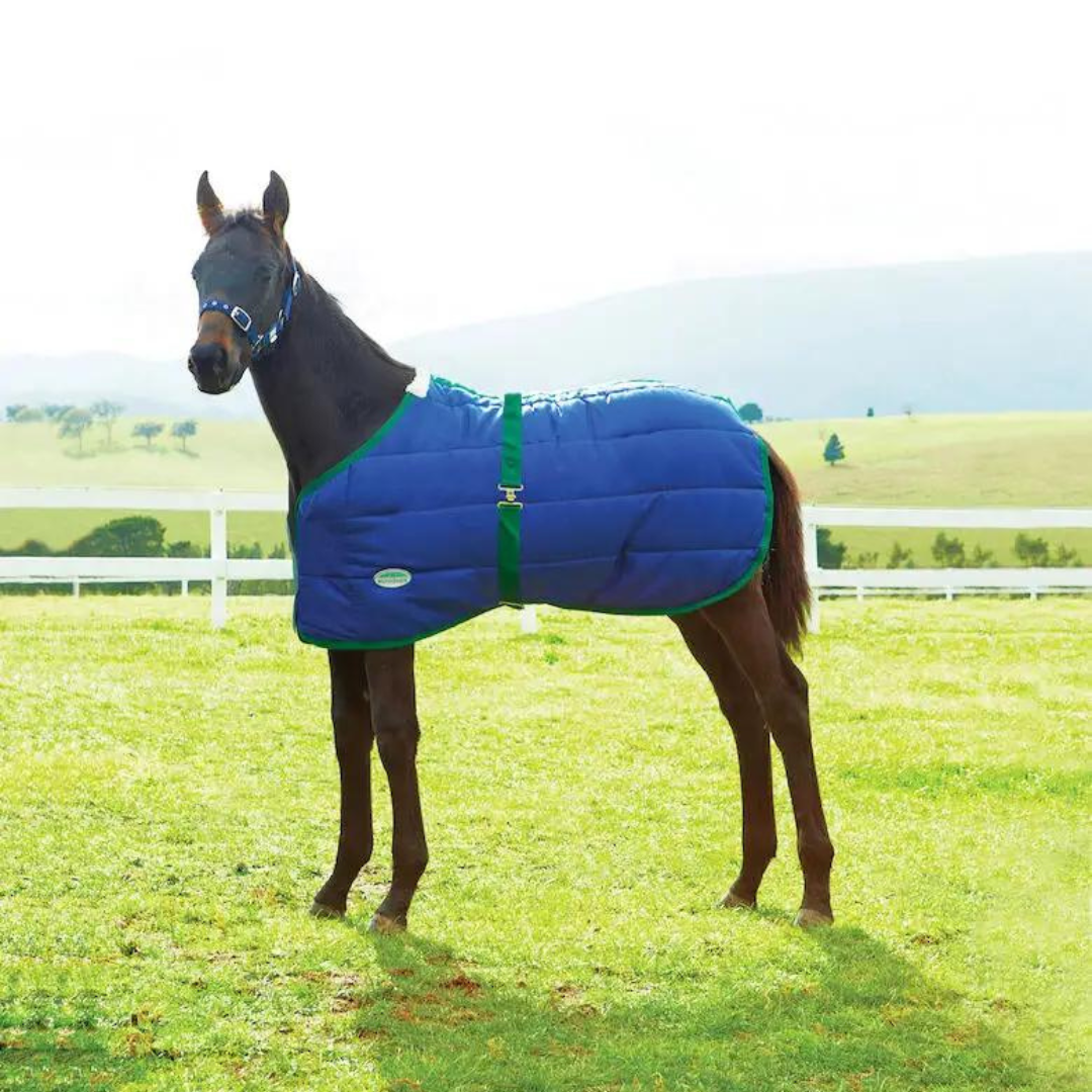 Weatherbeeta 420D Foal Standard Neck Medium - main