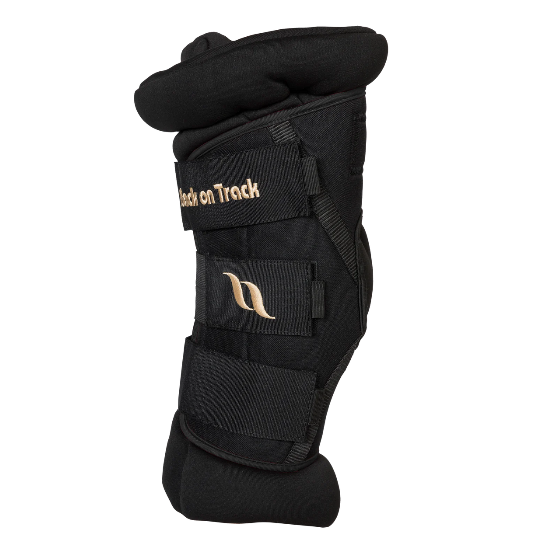 Back on Track Royal Padded Hock Boots Deluxe - main