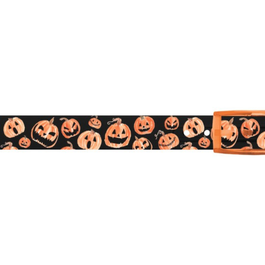 C4 Jack O' Lantern Belt - sku to order - 60034224