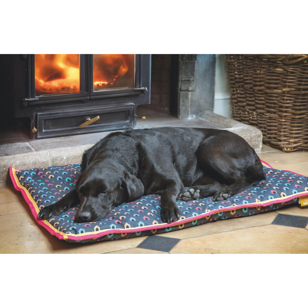 Digby & Fox Waterproof Dog Bed - Dog House - main