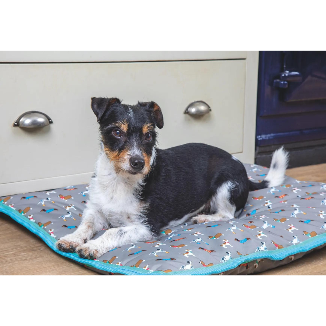 Digby & Fox Waterproof Dog Bed - Dogs - main