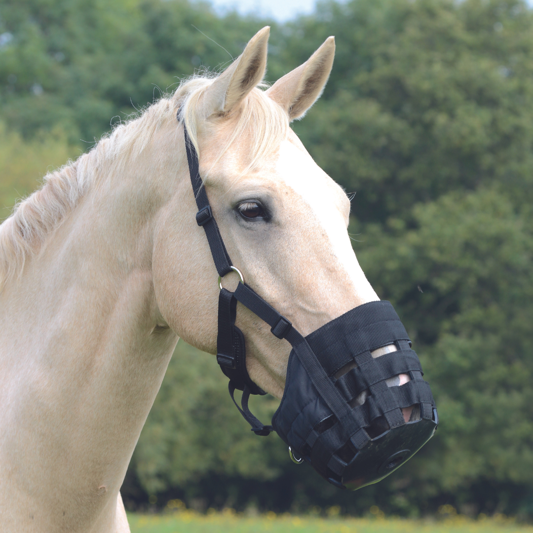 Shires Nylon Grazing Muzzle - main