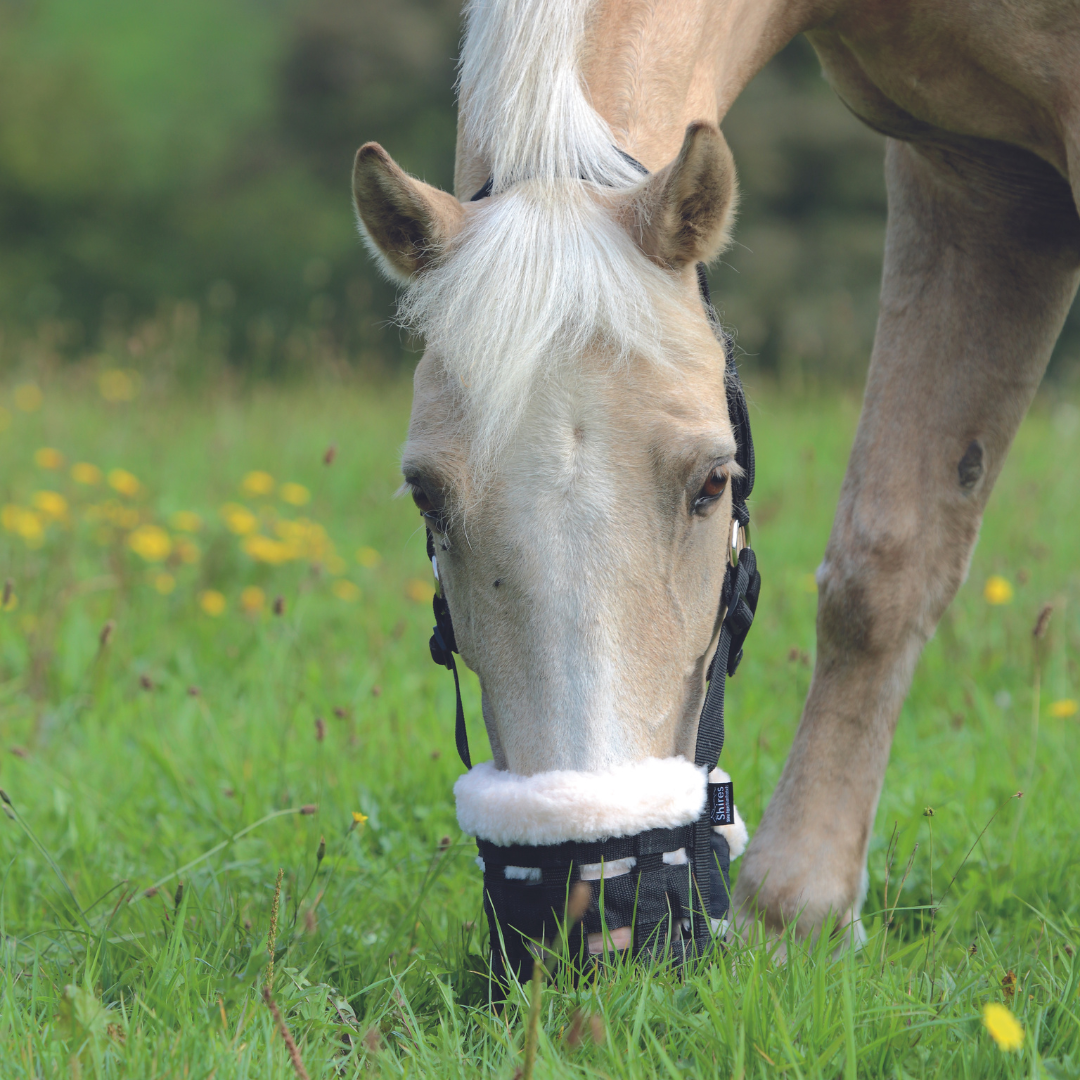 Shires Nylon Deluxe Grazing Muzzle - supporting