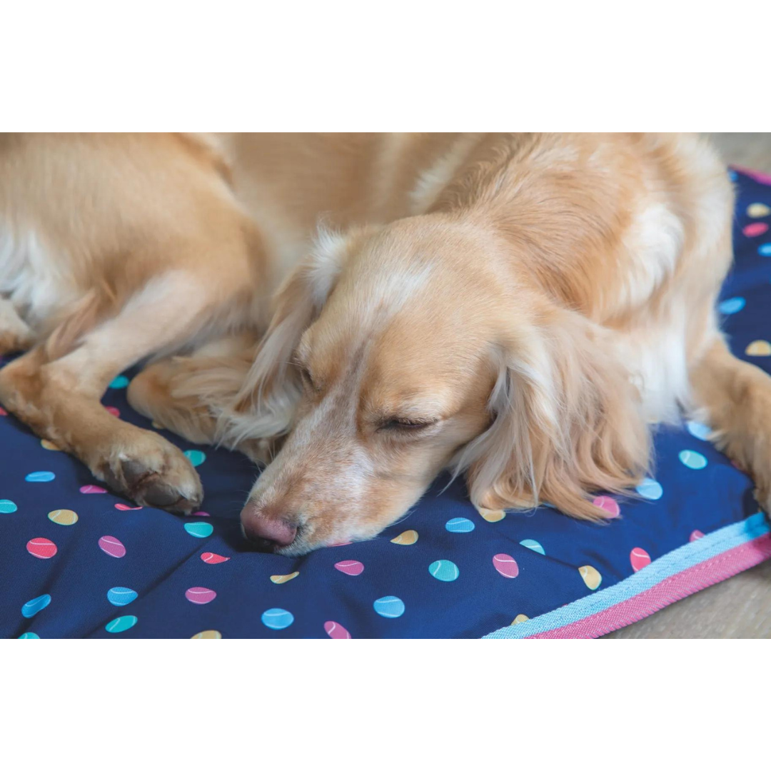 Digby & Fox Waterproof Dog Bed - Tennis Ball - main