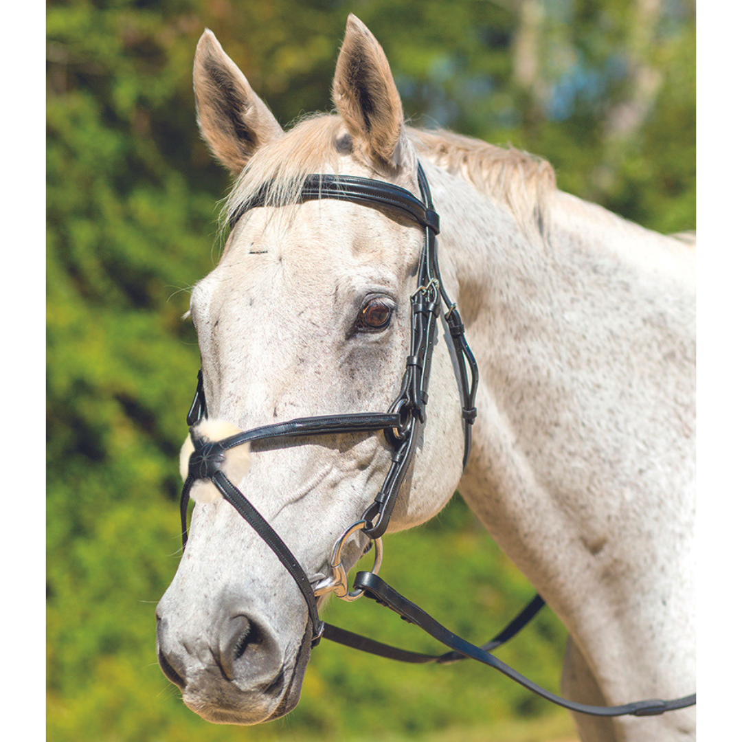 Avignon Woodside Figure 8 Bridle - sku to order - 109792