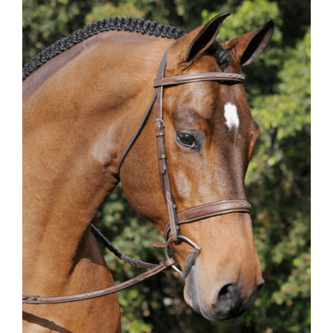 Arc De Triomphe Tribute Hunter Bridle with Raised Fancy Laced Reins - main