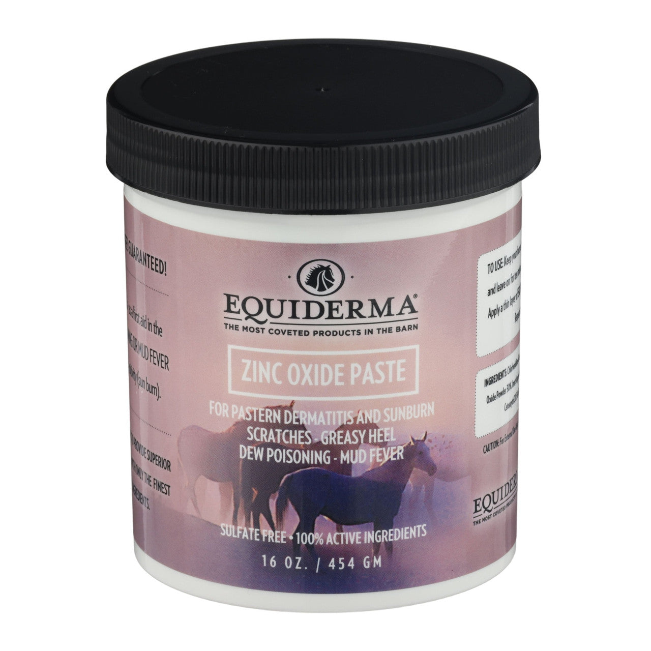 Equiderma Zinc Oxide Paste - sku to order - 110438