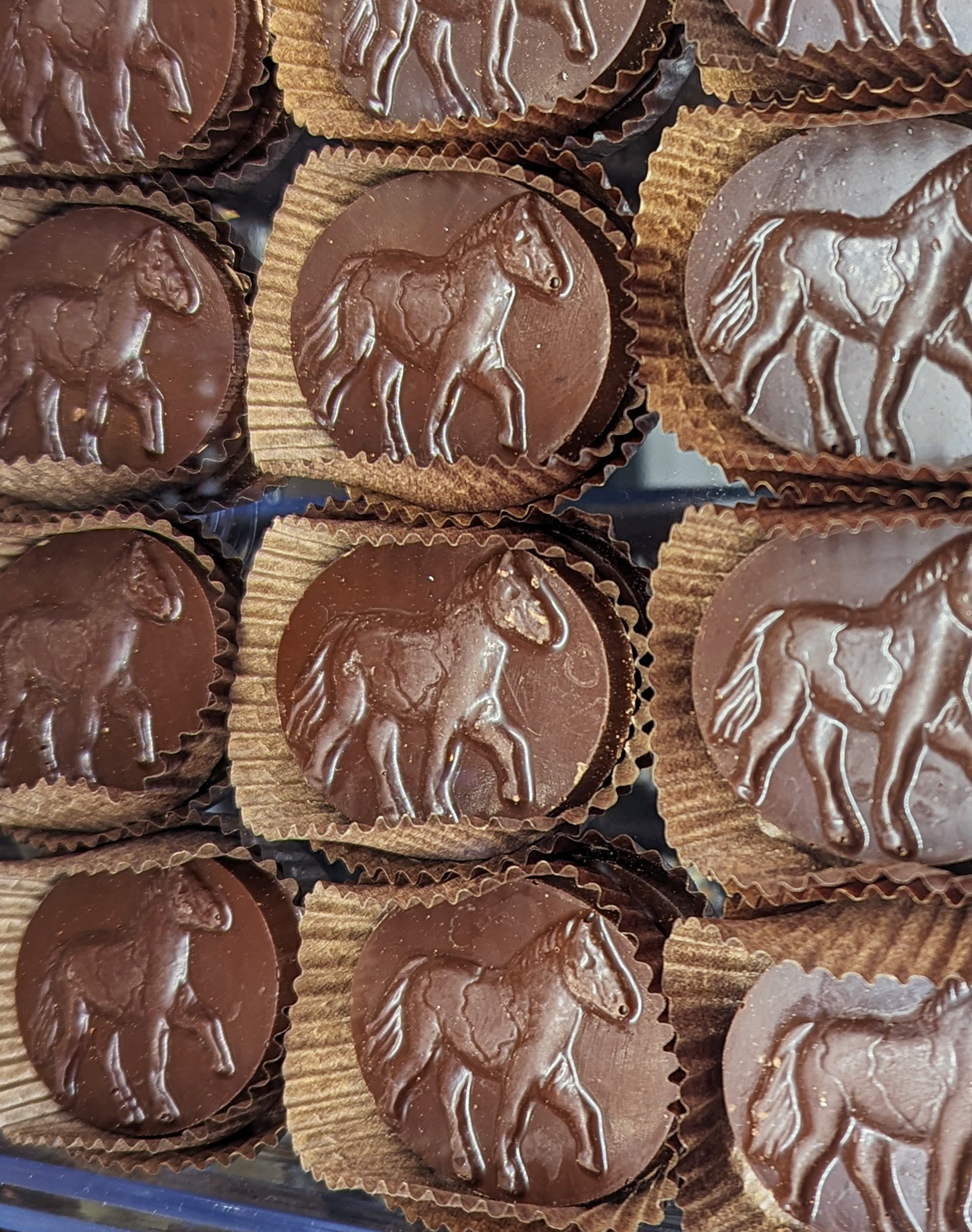 Dark Horse Chocolates Dark Chocolate 16 Pcs Peppermint Ponies