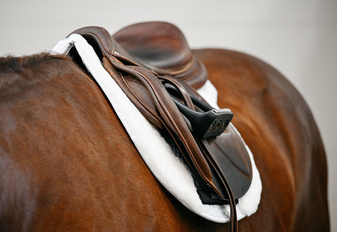 ThinLine Link Hunter Pad