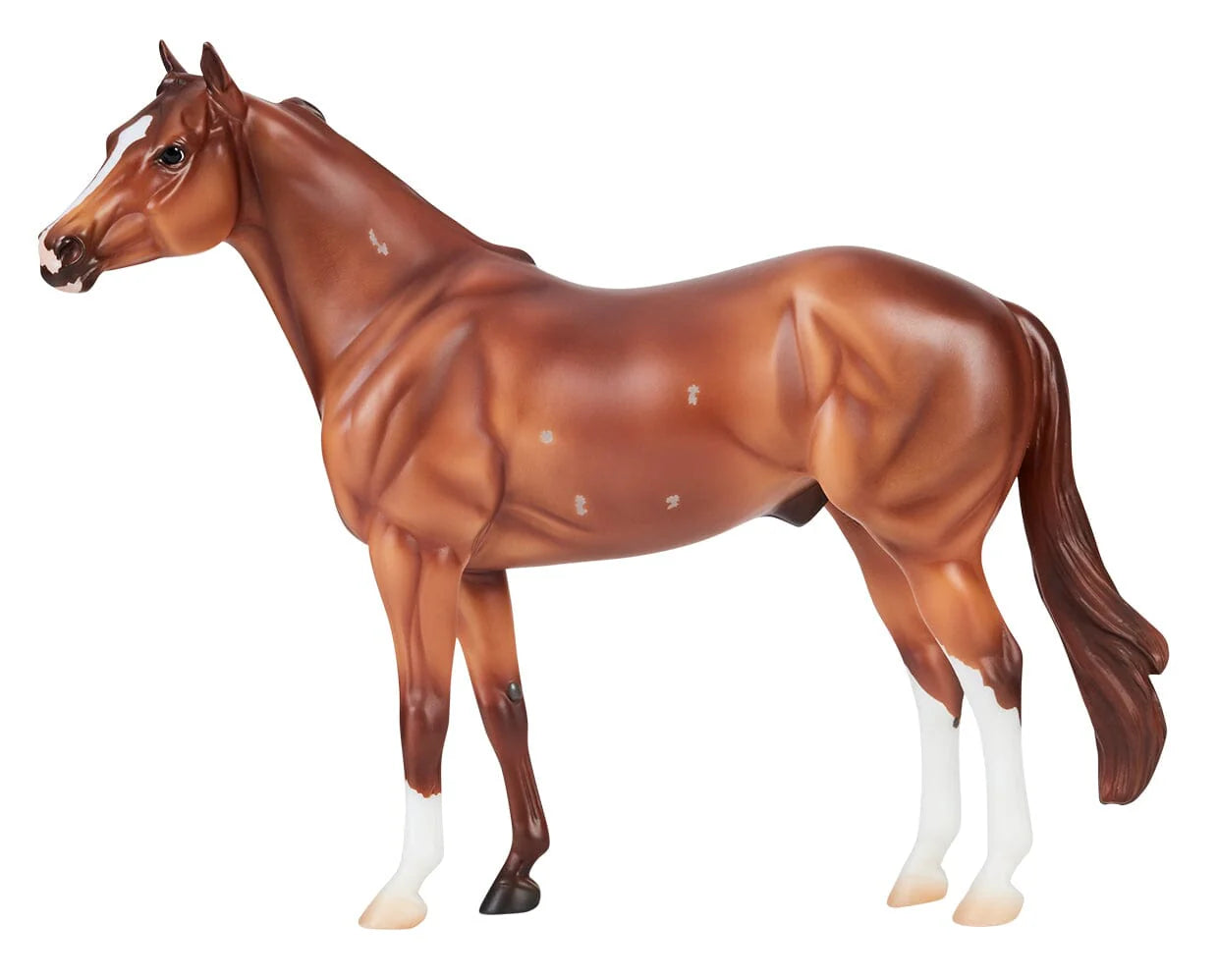 Breyer Apollitico Jess