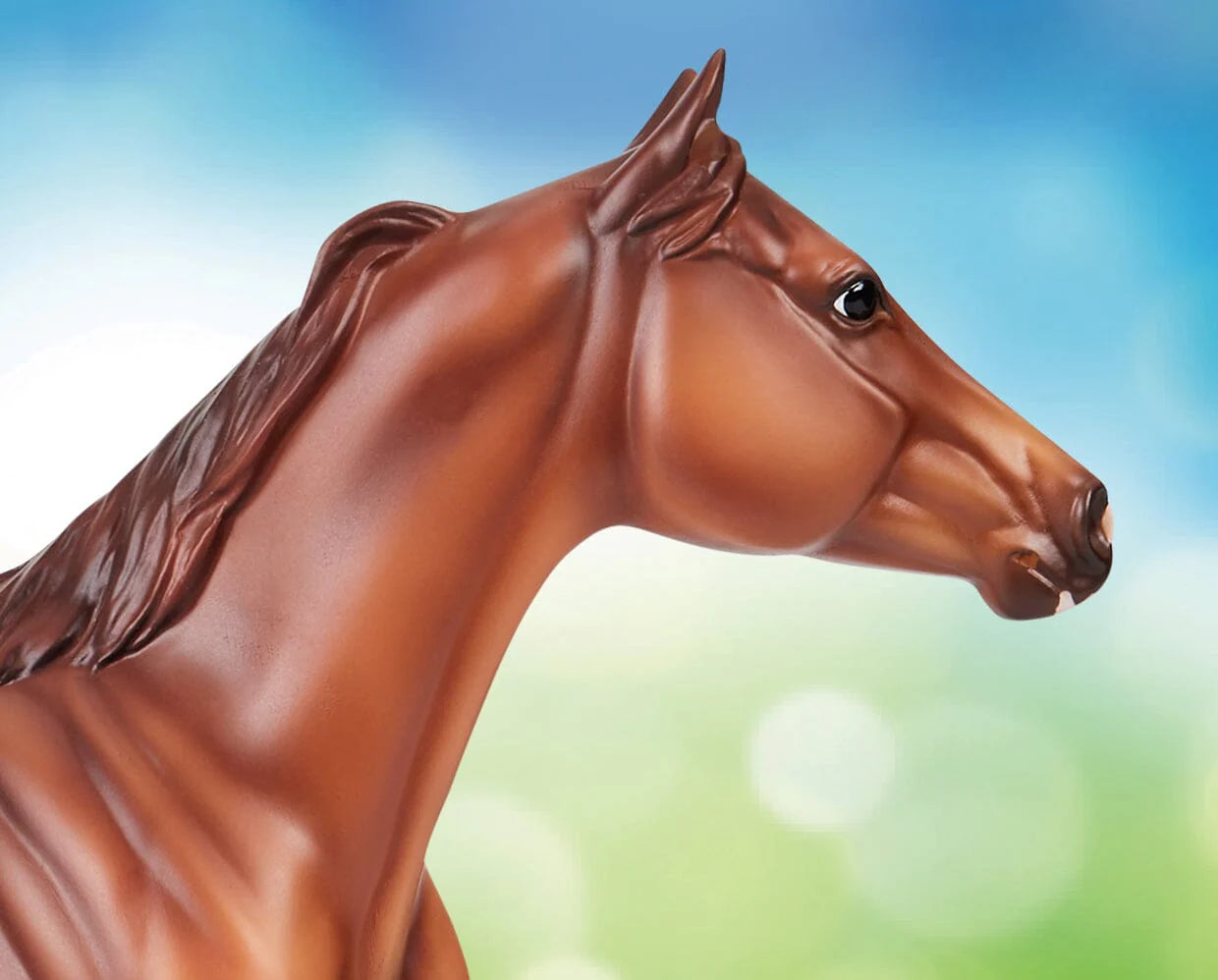 Breyer Apollitico Jess