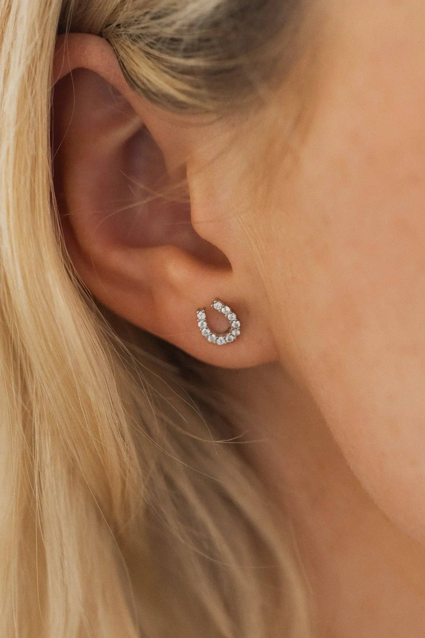 Bridle Up Hope Shop - Luxe Horseshoe Earrings