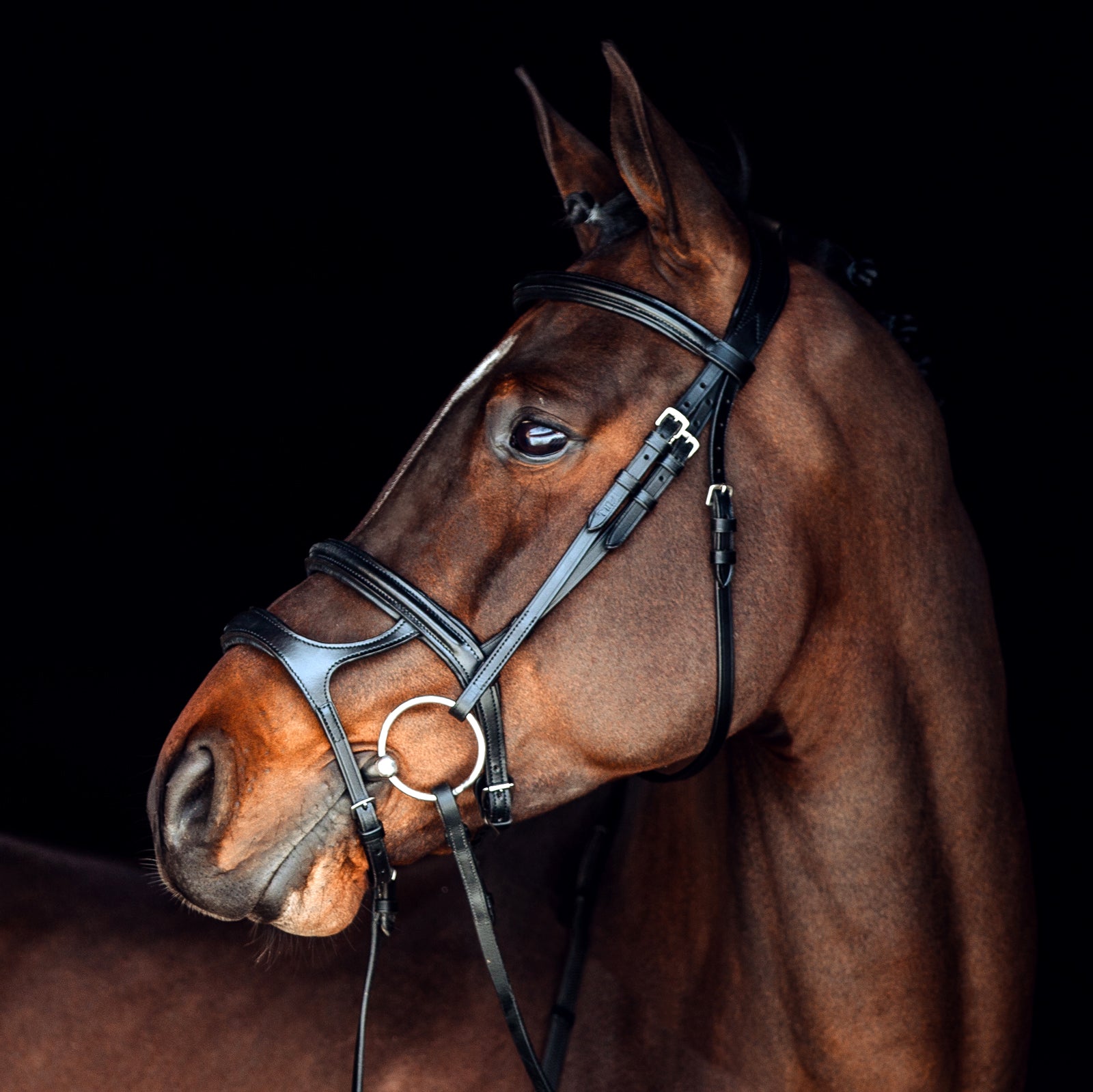 Sale Horze Perth Soft Lined Anatomical Bridle