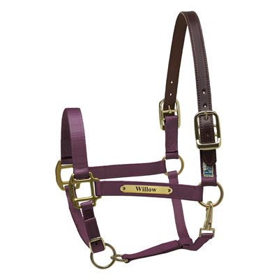 Perri's Premium Nylon Safety Halter with Nameplate