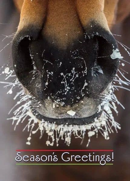 Horse Hollow Press - Horse Christmas Card / Frosty Nose / Holiday Greeting Card
